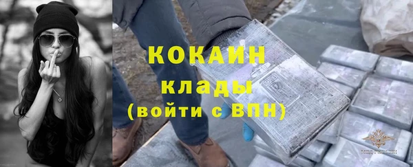стафф Осинники