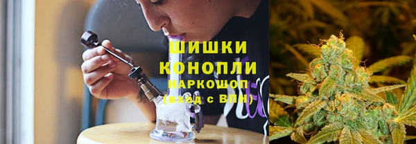 стафф Осинники