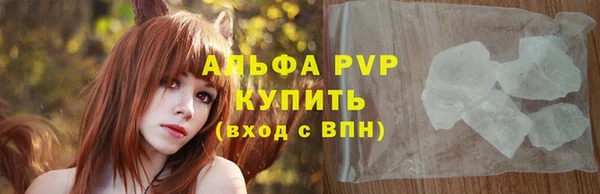 стафф Осинники