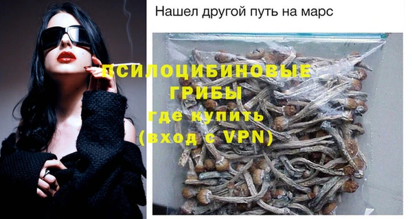 стафф Осташков