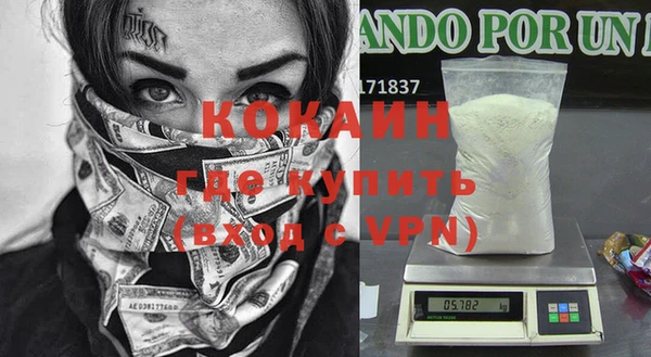 стафф Осташков