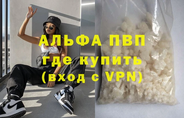 стафф Осинники