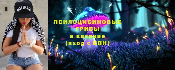 стафф Осташков