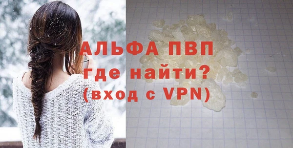 стафф Осинники