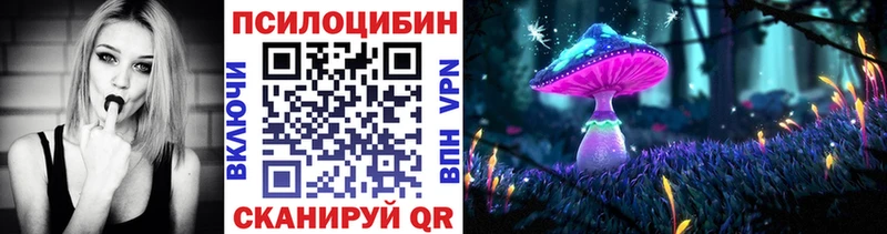 дарнет шоп  Сальск  Галлюциногенные грибы ЛСД 